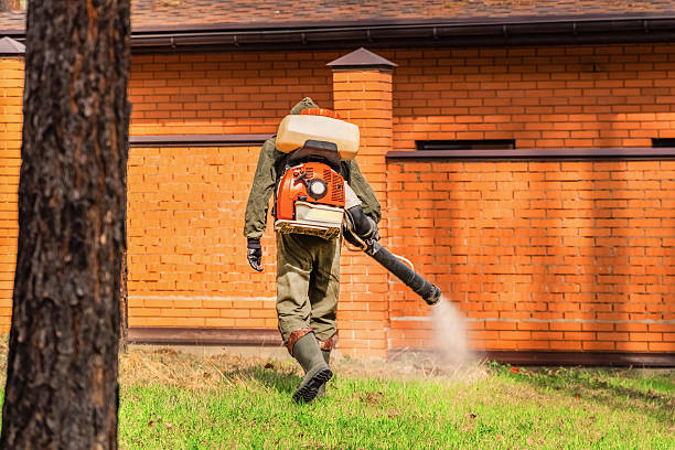 Trusted Termite Control service in Granite Quarry, NC - Nex Pest Control